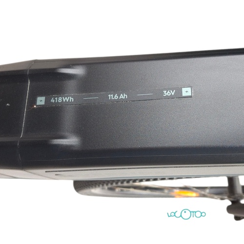 BICICLETA ELÉCTRICA RIVERSIDE 500E