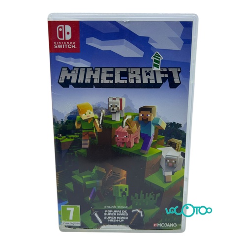 NINTENDO SWITCH MINECRAFT