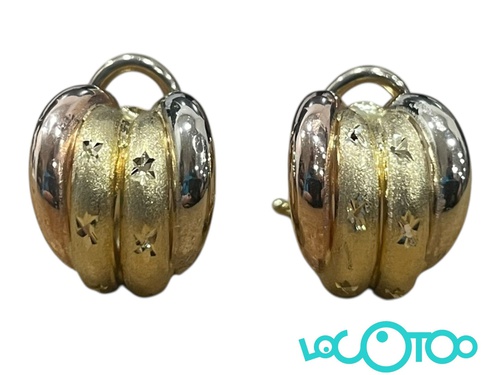 PENDIENTES ORO 18K 4,80gr