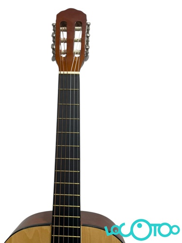 GUITARRA CLASICA ROCIO C-16N