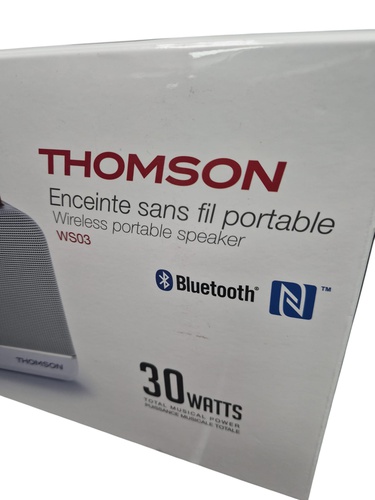 Altavoz Portátil THOMPSON WS03