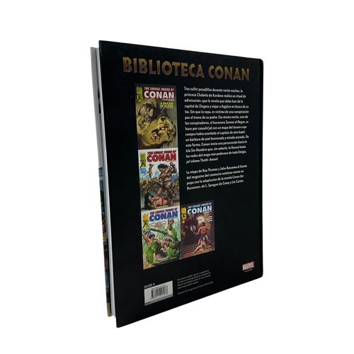 Comics NOVELA BIBLIOTECA CONAN LA ESPADA SA