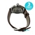 Reloj Pulsera HAMILTON H76050
