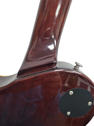 Guitarra Eléctrica HARLEY BENTON SC-550 DEL