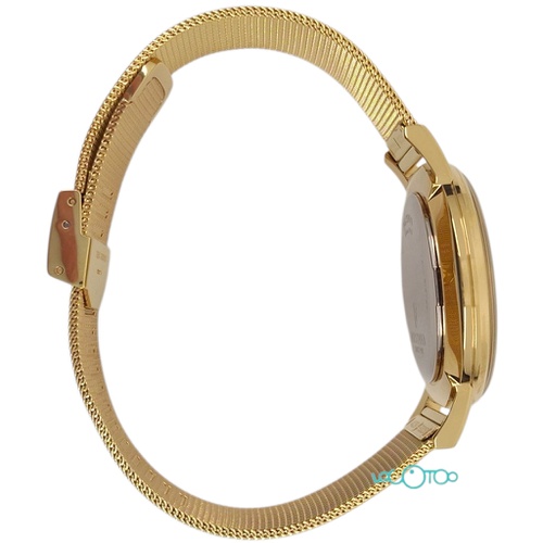 RELOJ DE PULSERA FESTINA F20251/F20253