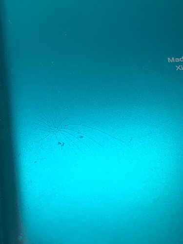 Smartphone XIAOMI REDMI NOTE 9 Libre 2 GB 1