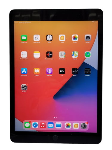 APPLE IPAD (7 GENERACION) (WI-FI) (A2197) 