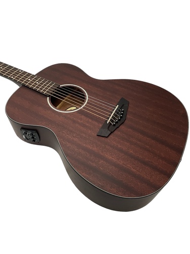 Guitarra Acústica D'ANGELICO  PREMIER TAMMA