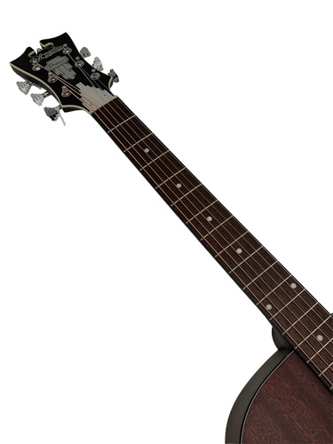 Guitarra Acústica D'ANGELICO  PREMIER TAMMA