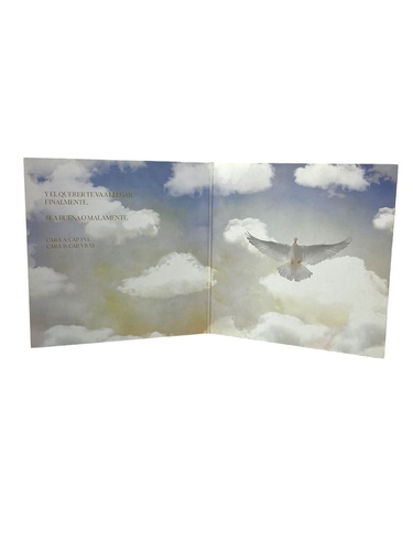 Vinilos ROSALIA EL MAL QUERER