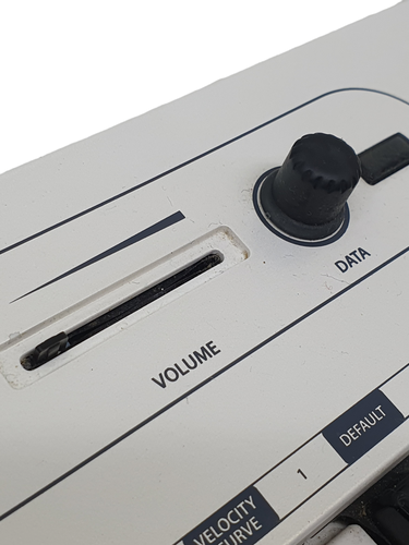 Teclado Electrónico SAMSON CARBON 49