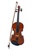 VIOLIN STRADELLA 35VN44