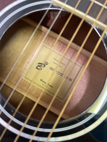Guitarra Acústica HARLEY BENTON HBD-120CE L