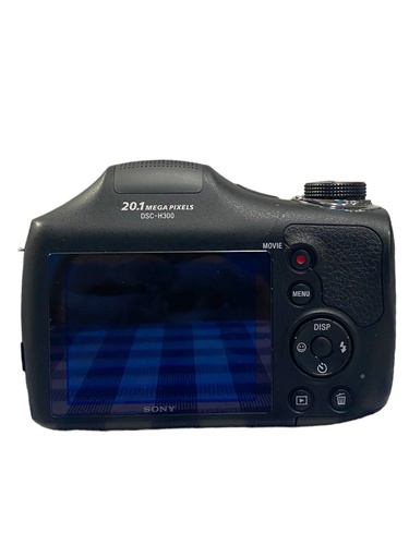 Cámara Bridge SONY DSC-H300