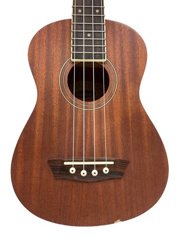Ukelele WASHBURN U20E Electrificada