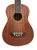 Ukelele WASHBURN U20E Electrificada