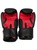 Guantes EVERLAST 12 OZ Talla 12