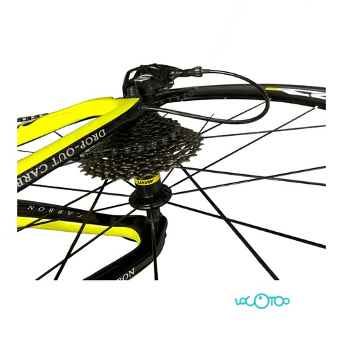 Bicicleta Carretera CIPOLLINI NK1K Cuadro d