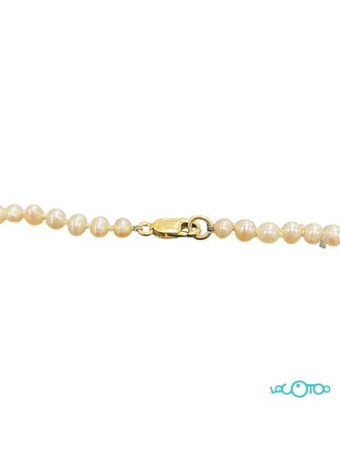 Cadena Oro solo cierre es oro