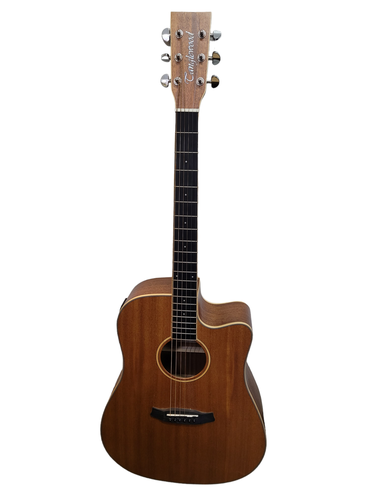 Guitarra Acústica TANGLEWOOD TWU DCE NS
