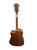 Guitarra Acústica TANGLEWOOD TWU DCE NS