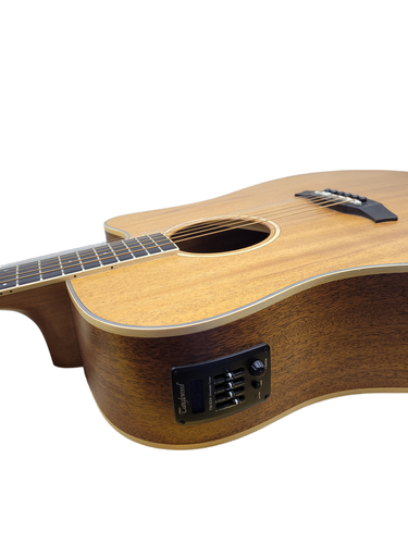 Guitarra Acústica TANGLEWOOD TWU DCE NS