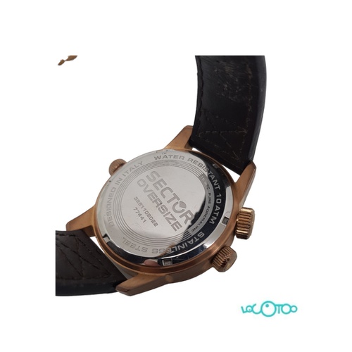 RELOJ SECTOR 77441