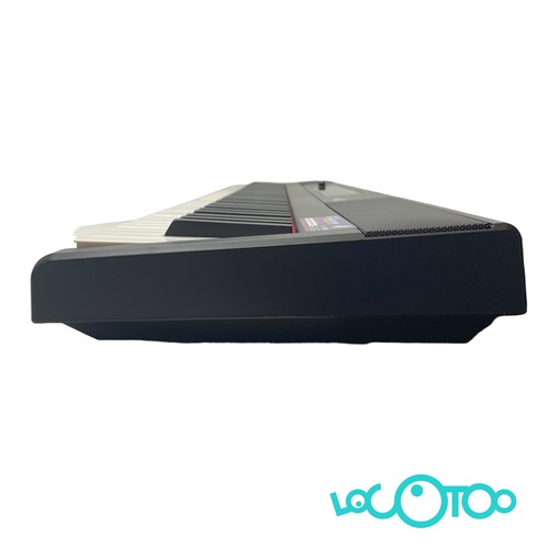 TECLADO ELECTRONICO RJ88DP