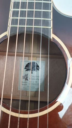 GUITARRA ACUSTICA TANGLEWOOD TW4 SJ WB