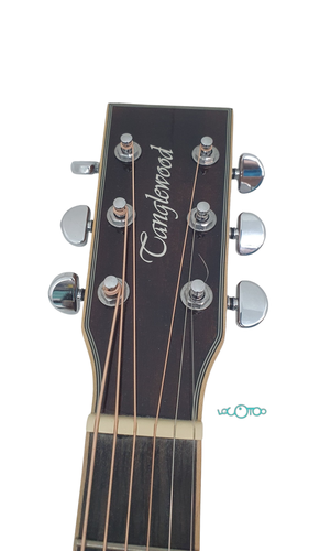 GUITARRA ACUSTICA TANGLEWOOD TW4 SJ WB