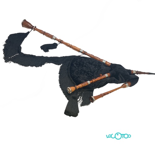 Gaita AFONSO CASTRO AFINADO EN DO ,MADERA P