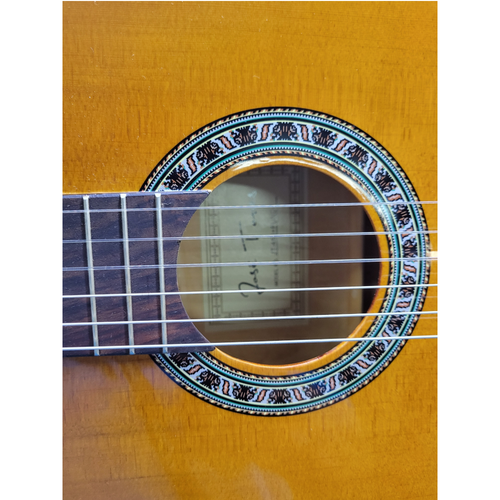 GUITARRA CLASICA JOSÉ TORRES JT-450