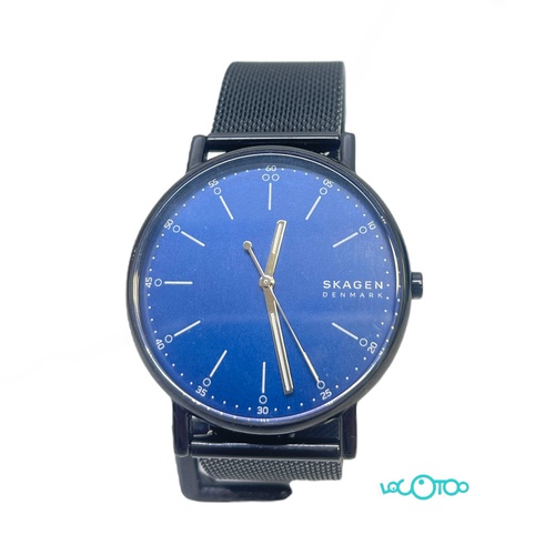 RELOJ PULSERA SKAGEN SKW 6655