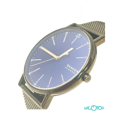 RELOJ PULSERA SKAGEN SKW 6655