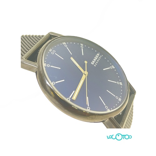 RELOJ PULSERA SKAGEN SKW 6655