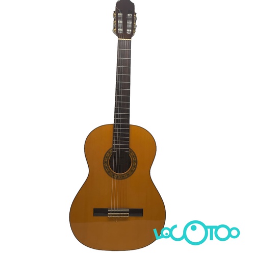 GUITARRA CLASICA RAIMUNDO MOD. 125