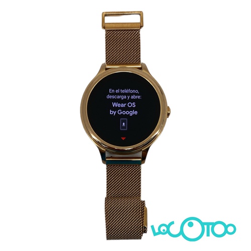 Smartwatch FOSSIL DW11F1