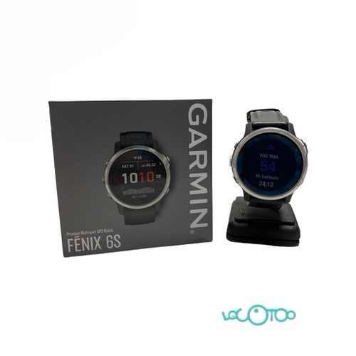 Smartwatch GARMIN FENIX 6S 42 mm