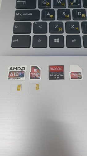 Portátil ASUS F555D 1 TB SATA 8 GB AMD A10 