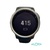 Smartwatch GARMIN FENIX 6S 42 mm