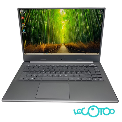 Portátil MEDION S6445 256 GB SSD 8 GB Intel